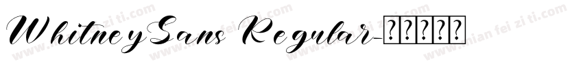 WhitneySans Regular字体转换